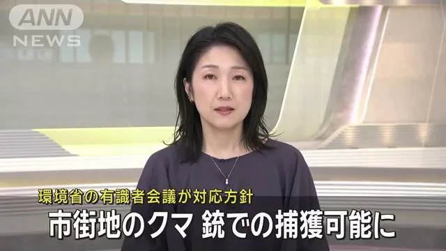 去年因熊造成的人身伤害事件达到了219起,新方针发布-日本华人网